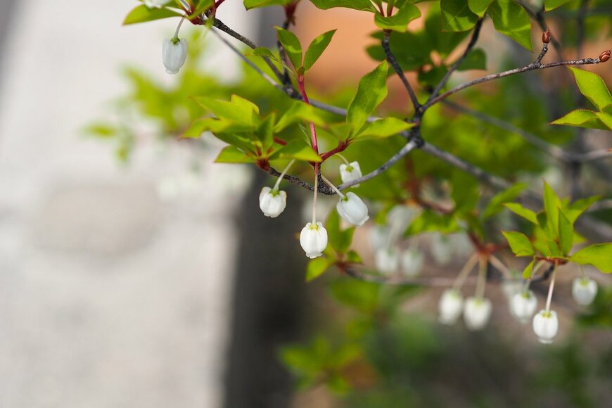 shinss/Shutterstock.com