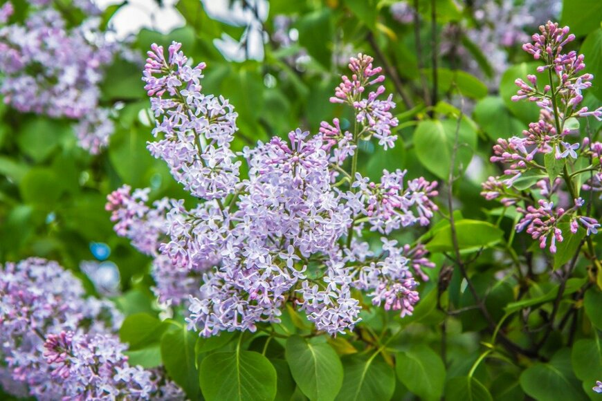 teine/istockphoto.com