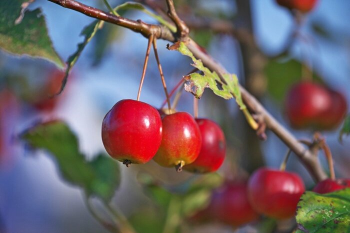 igaguri_1/istockphoto.com