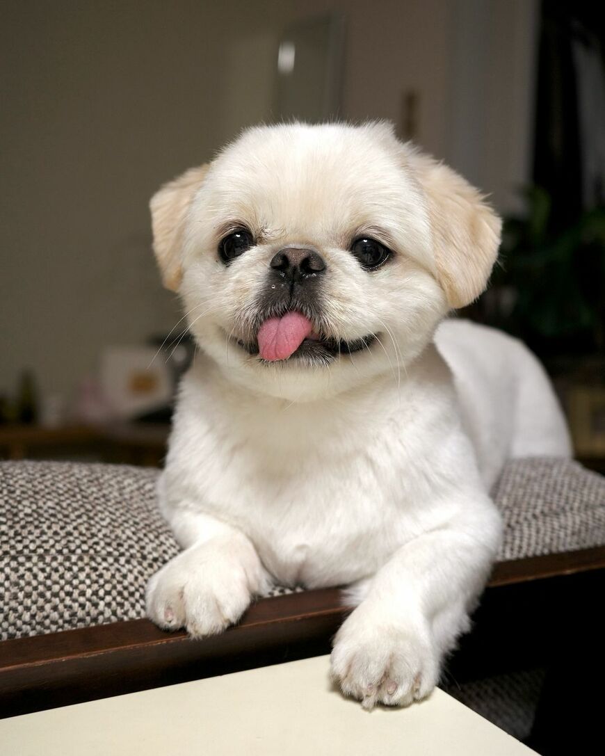 出所：@mucho_world