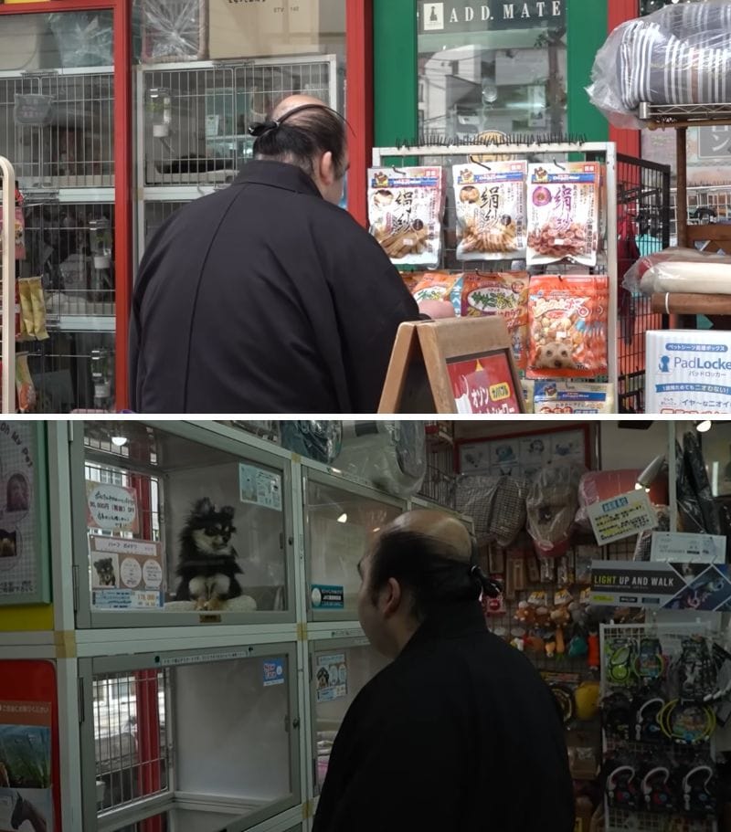 出所：@otakebeya-sumo