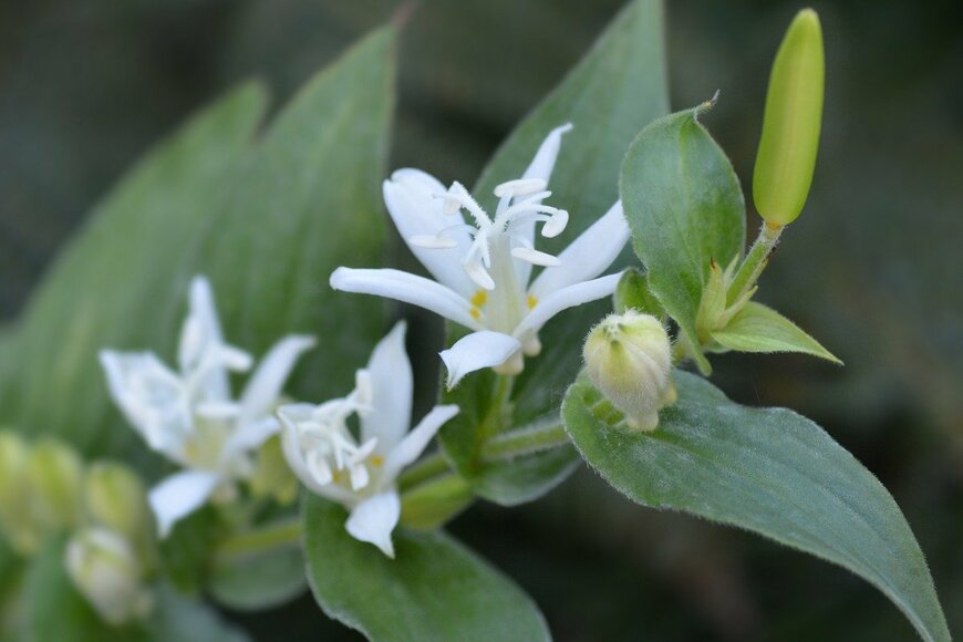 Nahhan/istockphoto.com