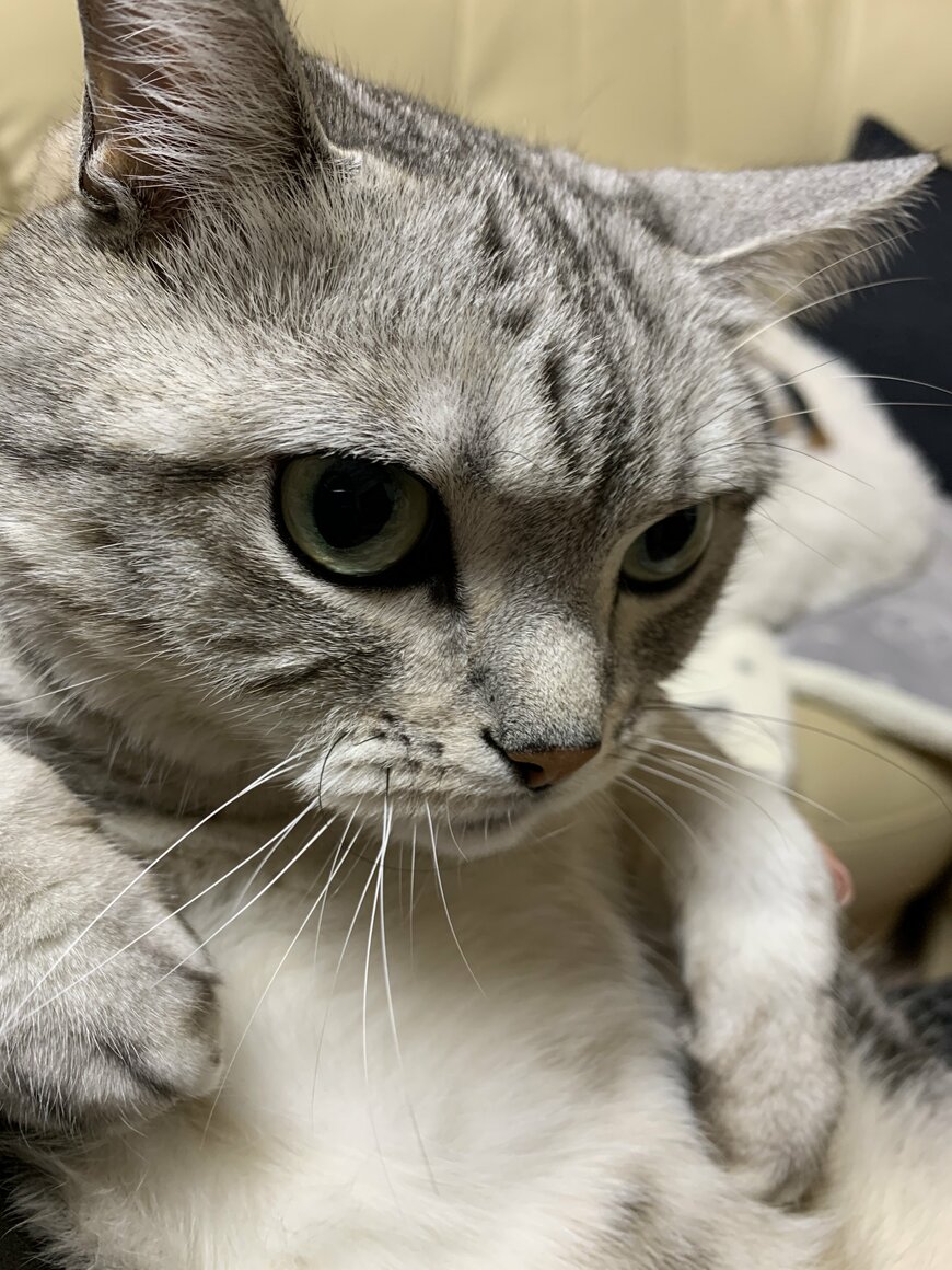 出所：@mifuyu_916