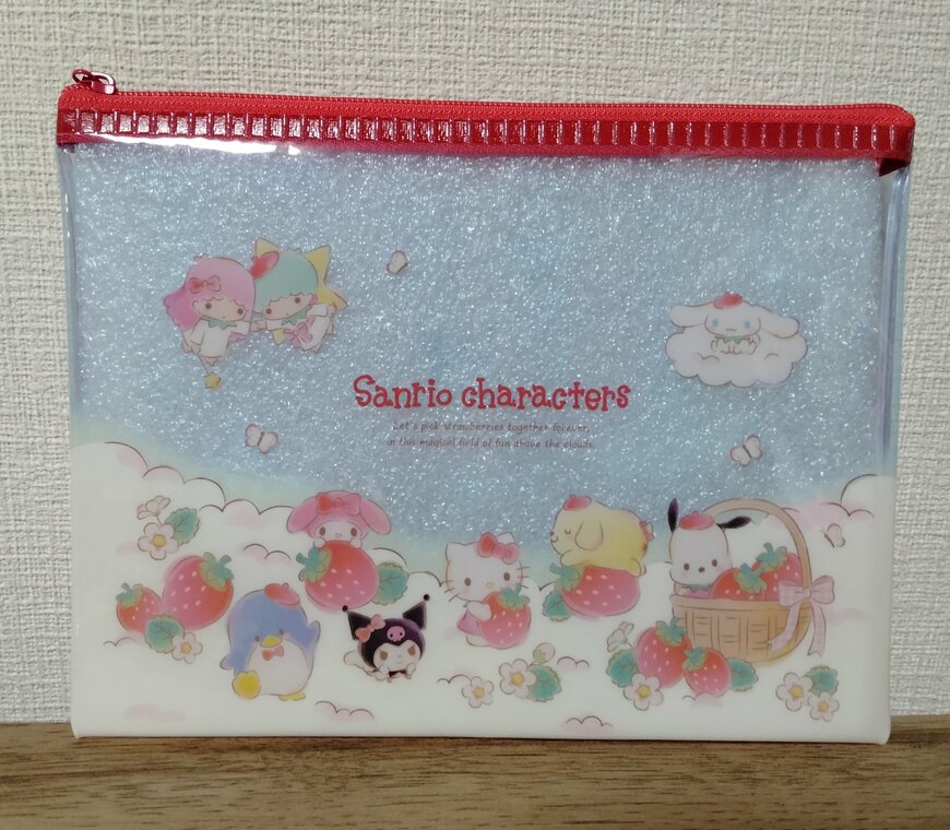 筆者撮影（セリア、フラットポーチ M/X いちご 27217）