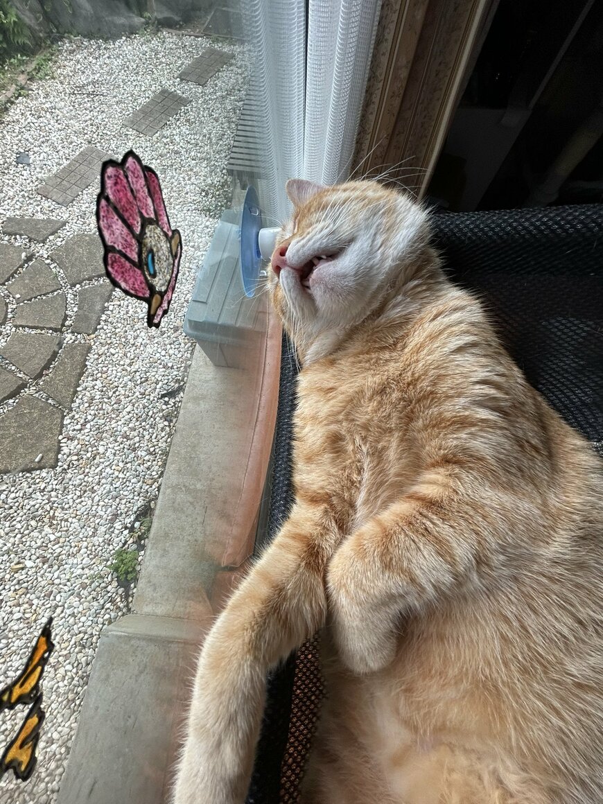 出所：@Beercat_Ana_Dar