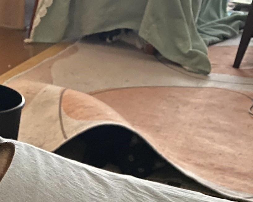 出所：@00shitemita