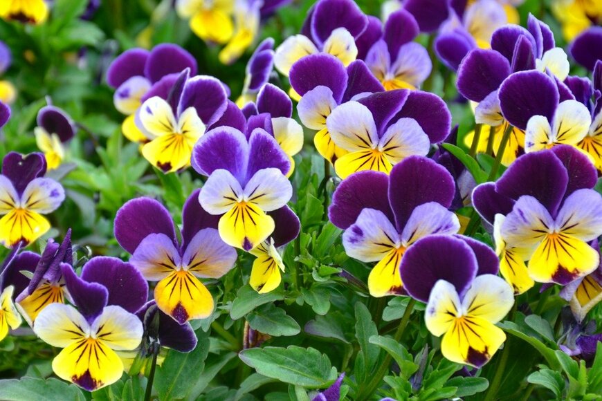 Pandaysk/istockphoto.com