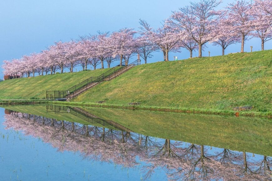 Makafushigi/shutterstock.com