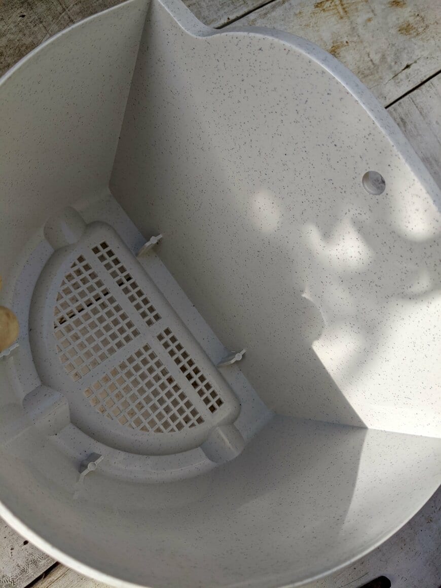 筆者撮影（ダイソー、掛け植木鉢8号）