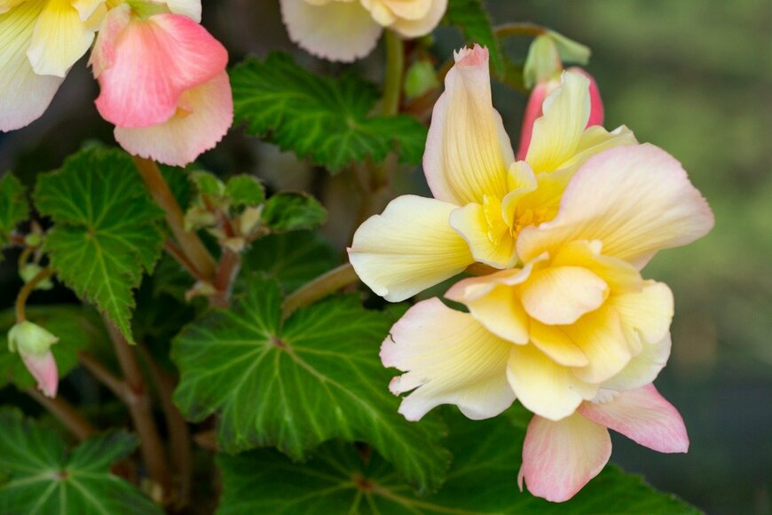 Marina Kositsyna/istockphoto.com