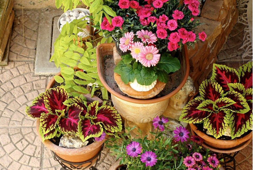 Olga Chetvergova/istockphoto.com