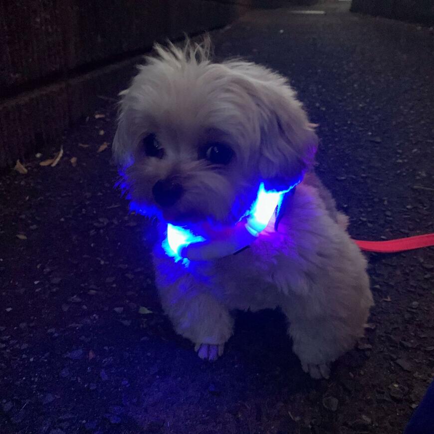 出所：@potage_0924