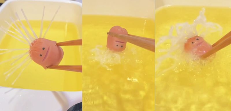 投稿動画のワンシーン