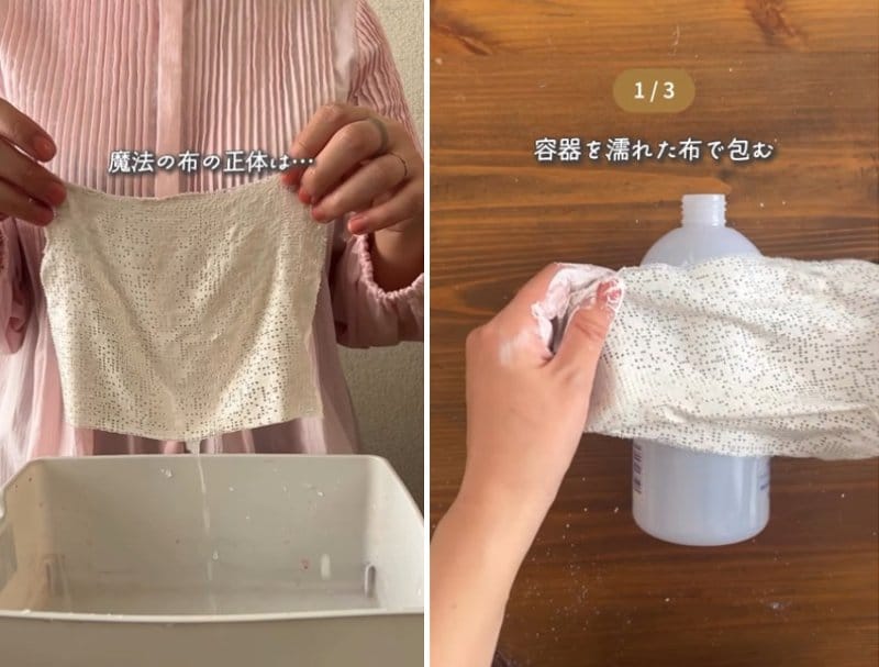 投稿の画像