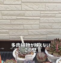 「めっちゃ格好いいやん」多肉植物が映えない〈壁〉→帰ってきて眺めたくなる〈ヨーロッパの石積み風〉に大変身！