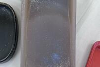 見本市に並んでいた「こんにゃく」みたいな長方形の物体　まさかの正体が話題に