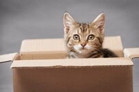 2025年10月から「生活保護」世帯への生活扶助が「月額500円」上乗せに