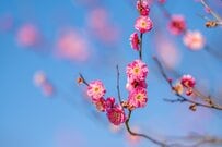 遺族厚生年金、改正ポイント「影響がある人・ない人」具体的にどんな人？4月分から遺族基礎年金「月7万608円」←対前年度＋1300円アップ！