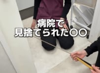 動物病院が大好きなフレンチブル、スタッフも爆笑する診察後の行動にほっこり「可愛すぎ」「素敵な病院」