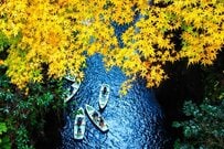 働き方改革は休暇取得から。証券アナリストも旅をする