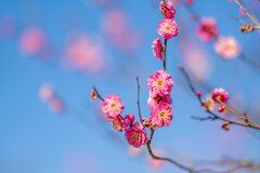 遺族厚生年金、改正ポイント「影響がある人・ない人」具体的にどんな人？4月分から遺族基礎年金「月7万608円」←対前年度＋1300円アップ！