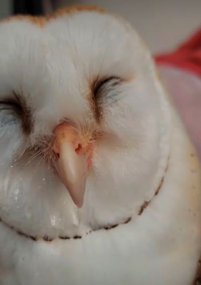 投稿動画のワンシーン