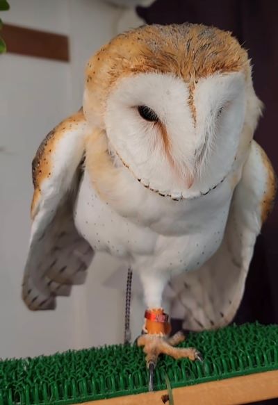 投稿動画のワンシーン