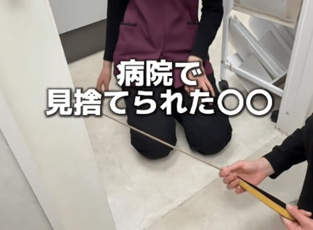 動物病院が大好きなフレンチブル、スタッフも爆笑する診察後の行動にほっこり「可愛すぎ」「素敵な病院」