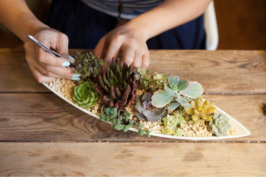 Image Source Trading Ltd/Shutterstock.com