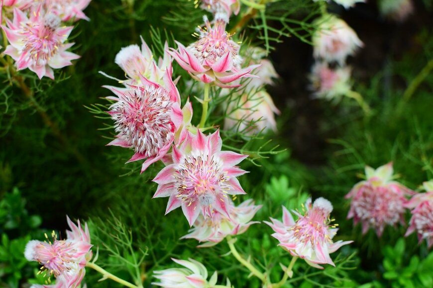 Theeramisu/shutterstock.com