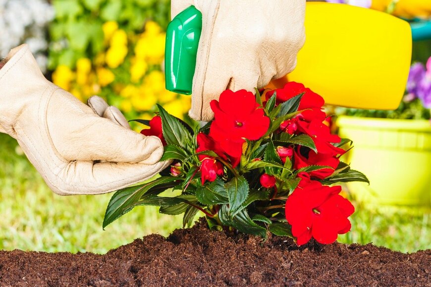 alessandroguerriero/istockphoto.com