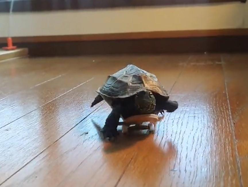 出所：@Mh0MLiErcV8E97C