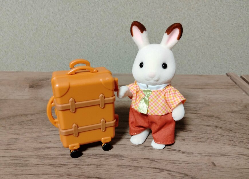 筆者撮影（セリア、ミニチュア キャリーケース）