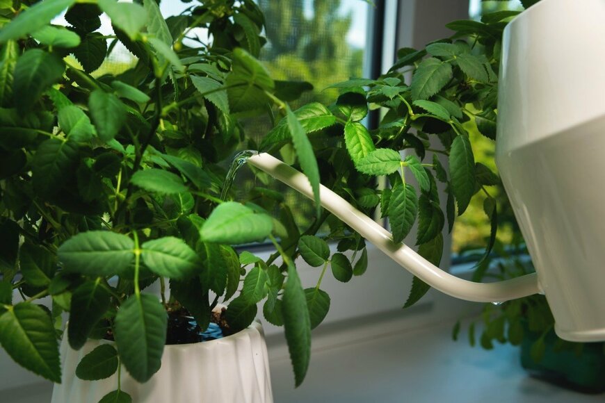 yanik88/shutterstock.com