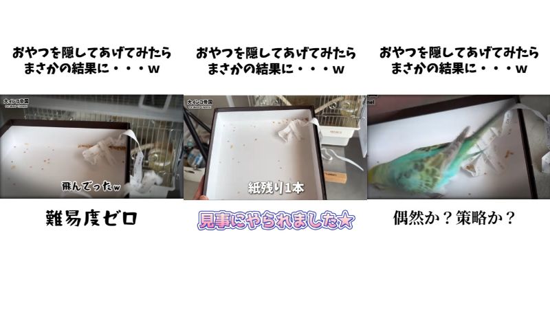 出所：＠daiinkoteikoku_soraoto