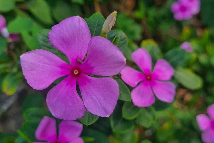 fitriasyahrotul/shutterstock.com