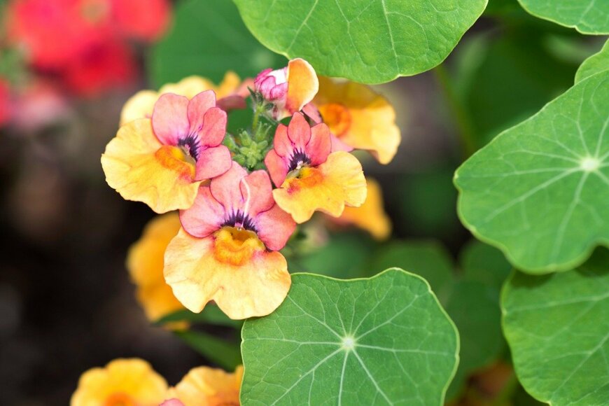 rctora/istockphoto.com