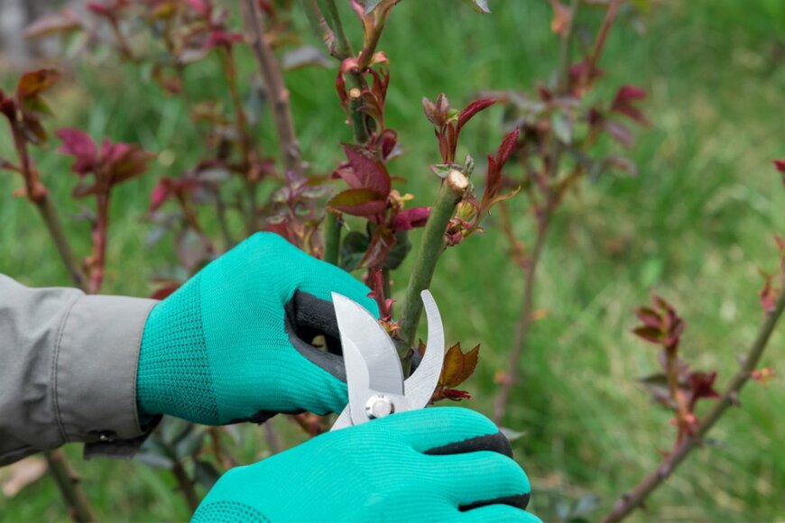 tastyfood/shutterstock.com
