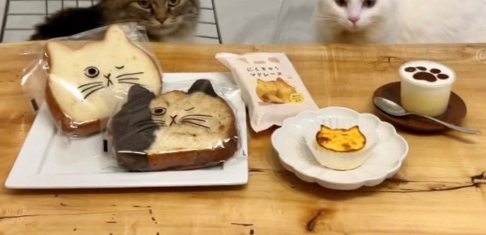 出所：@meltube_cat