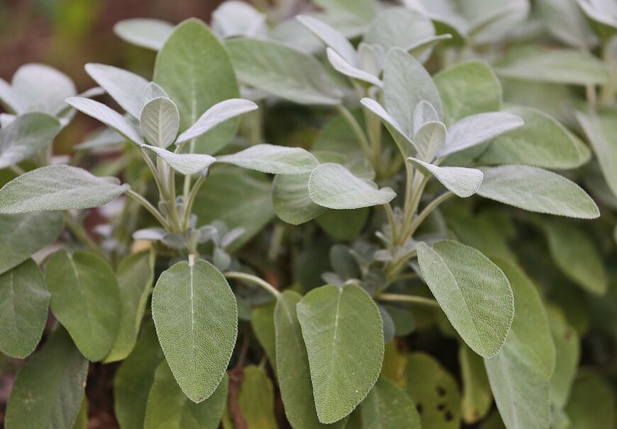 HonzaKeokotah/shutterstock.com