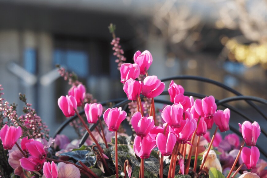 Honki Kumanyan/istockphoto.com