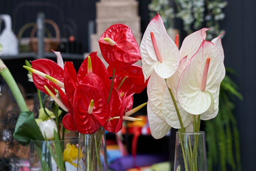 Pridannikov/istockphoto.com