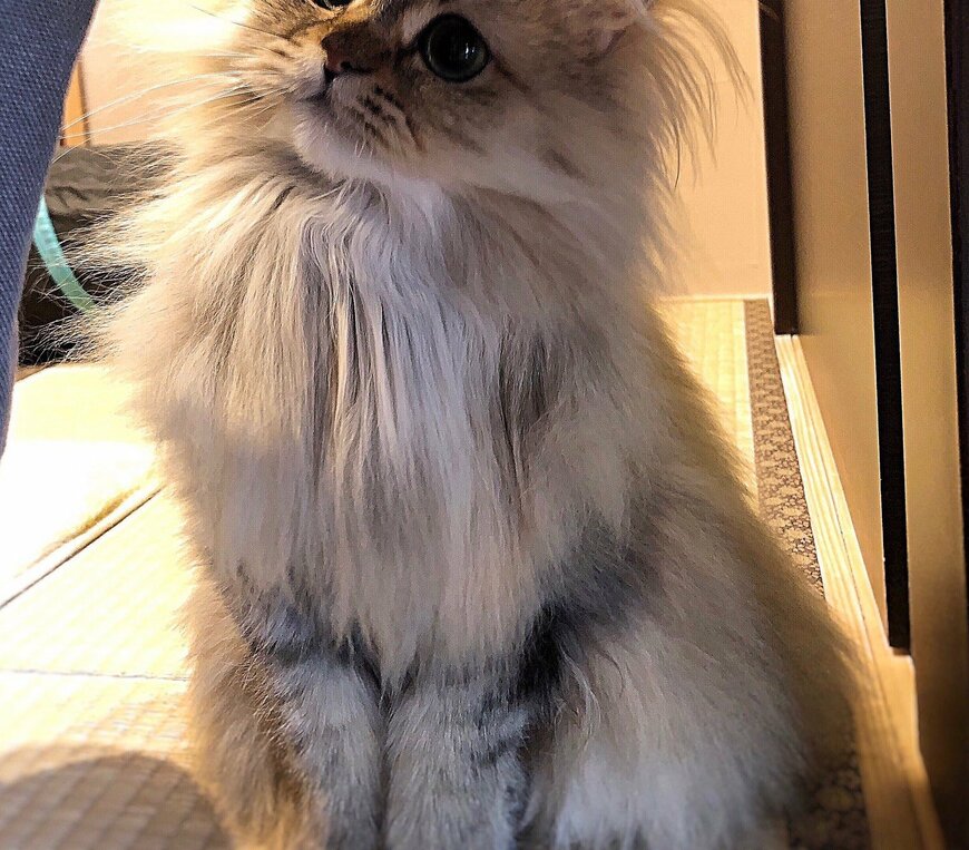 出所：@UphQepCv8J