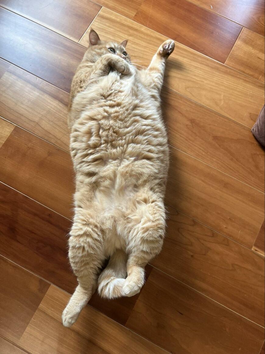 出所：@kagisuzu0531