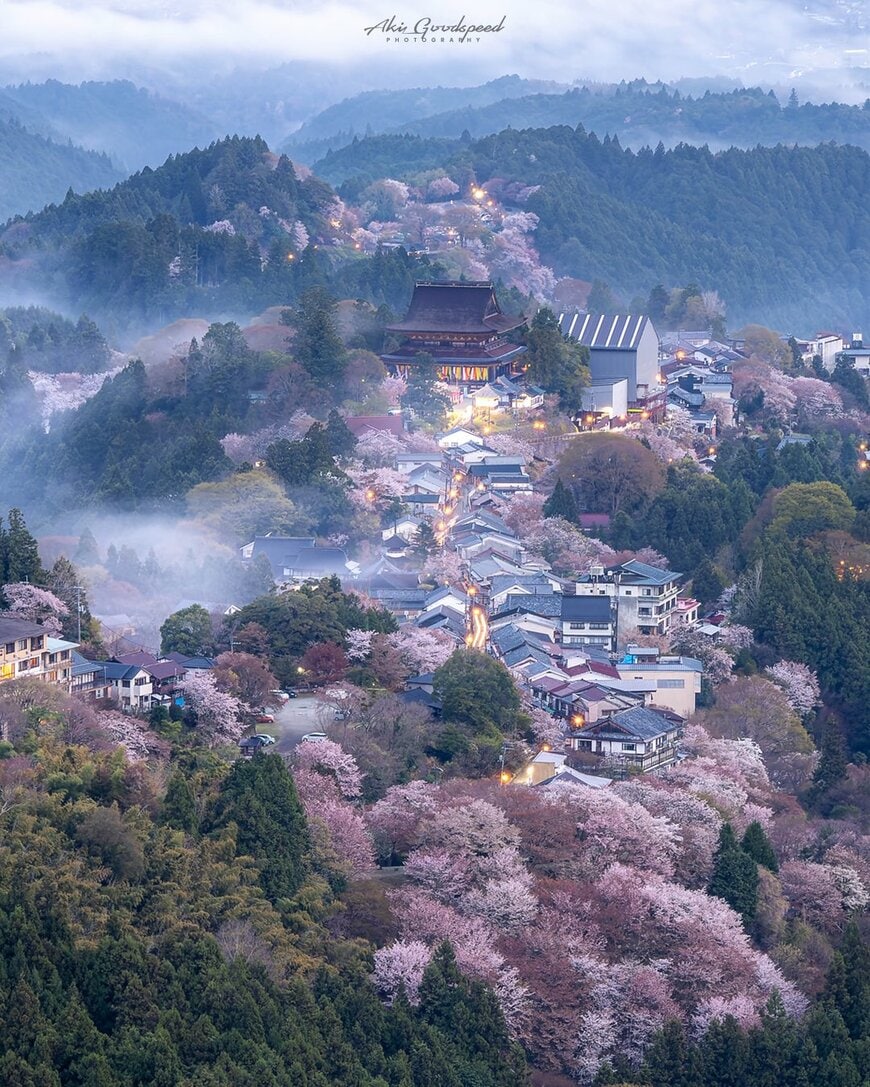 吉野山の春の絶景