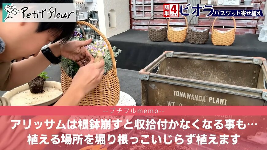 プチフルール 園芸Ch(@petit_fleur)さん投稿動画のキャプチャ