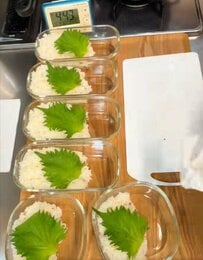 【やる気85％弁当】煮物にきんぴら…和のおかずがぎゅっと詰まった「和食弁当」が美味しそう