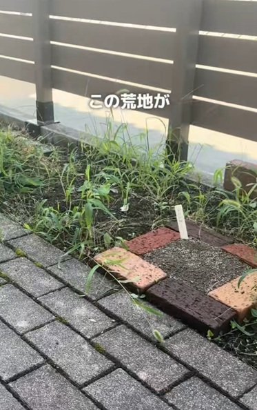 変身前の玄関前の荒地