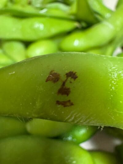 こちらを見て微笑んでいる?