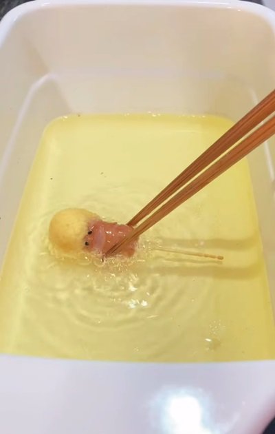 投稿動画のワンシーン